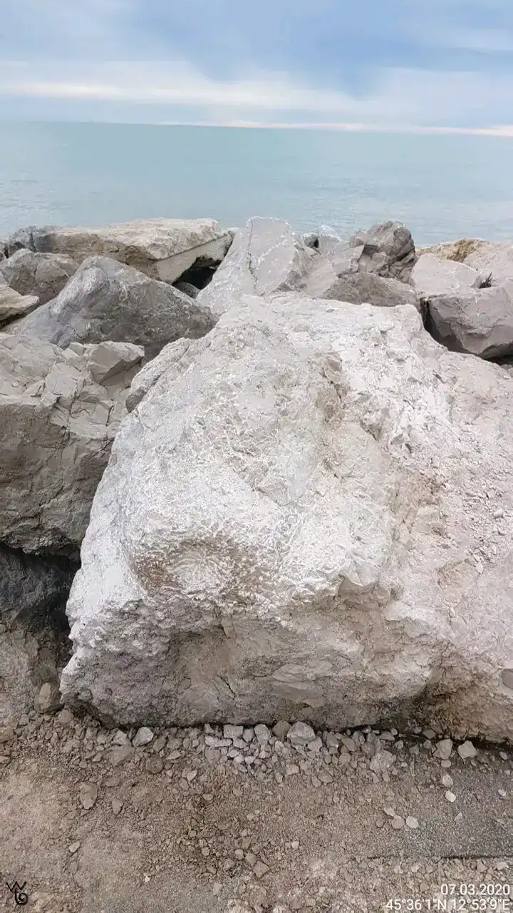 259