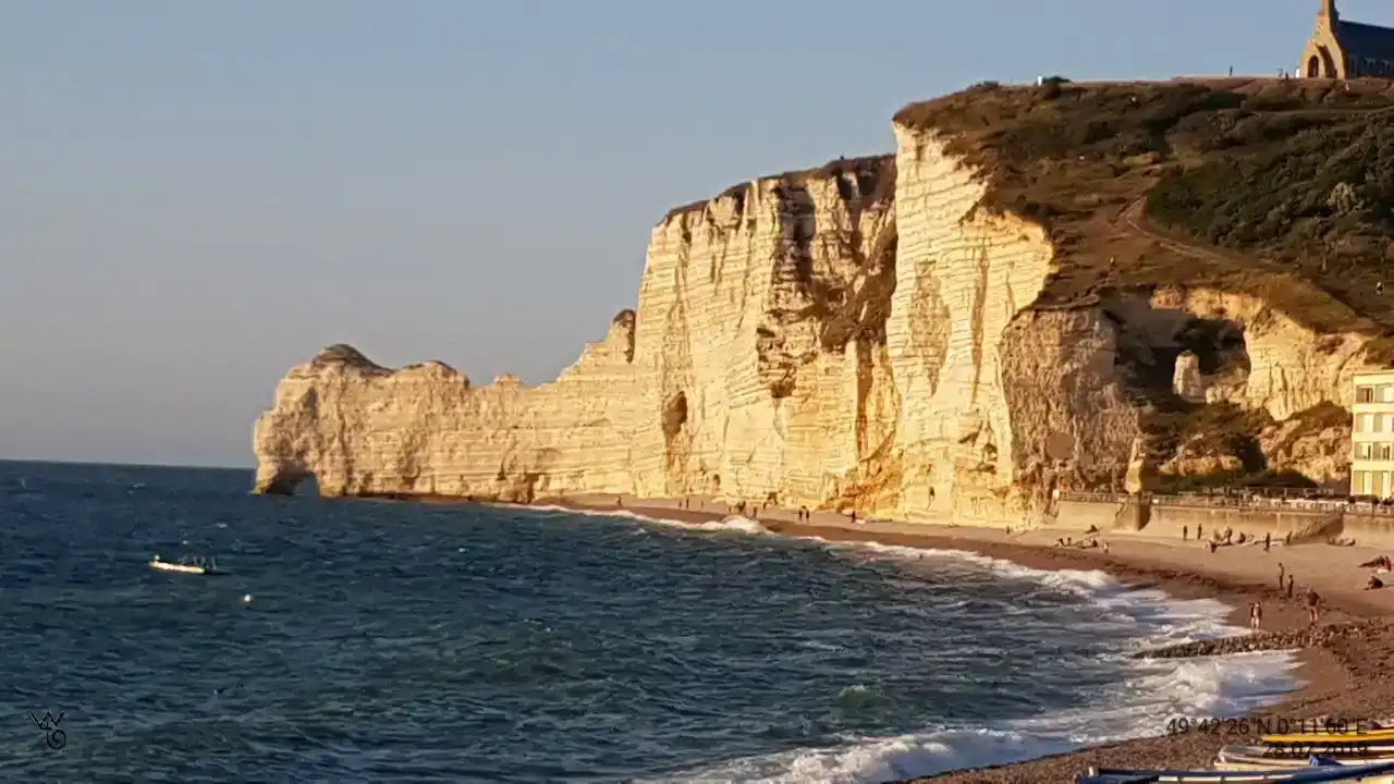 56
