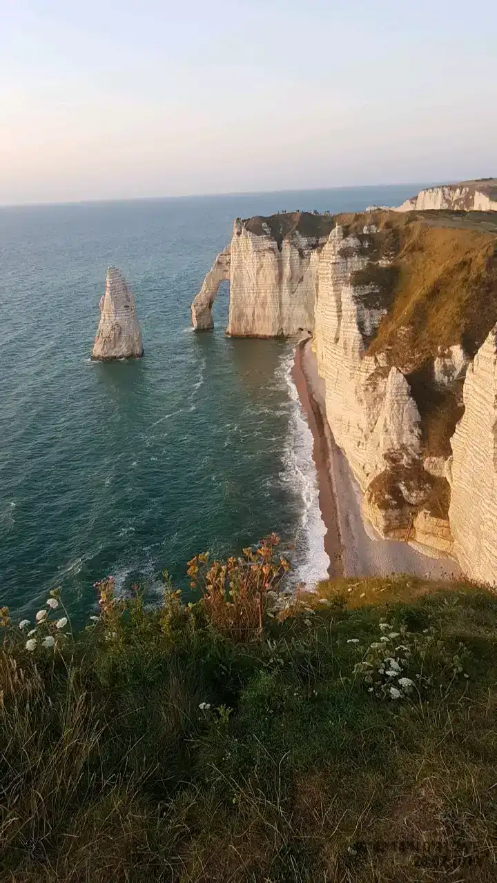 58