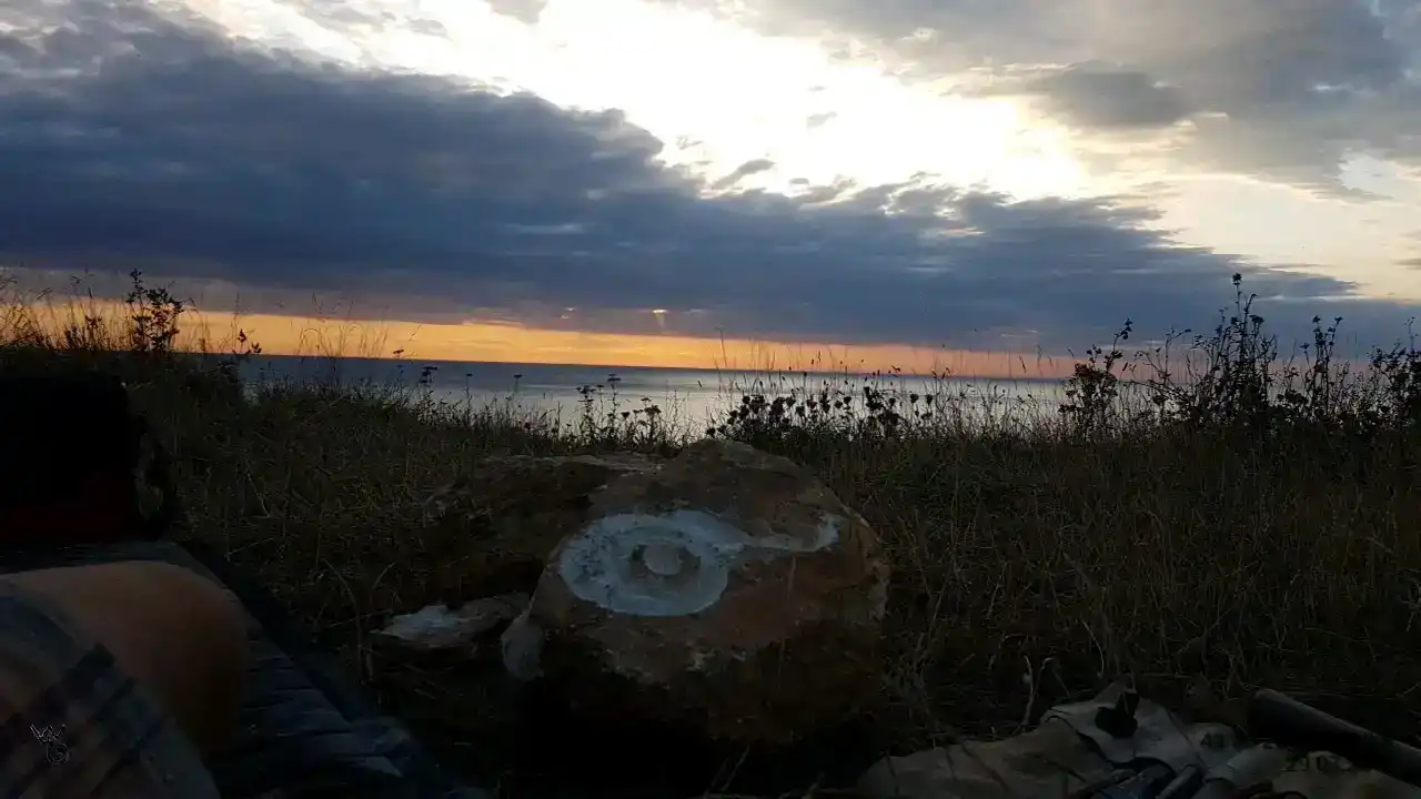 59
